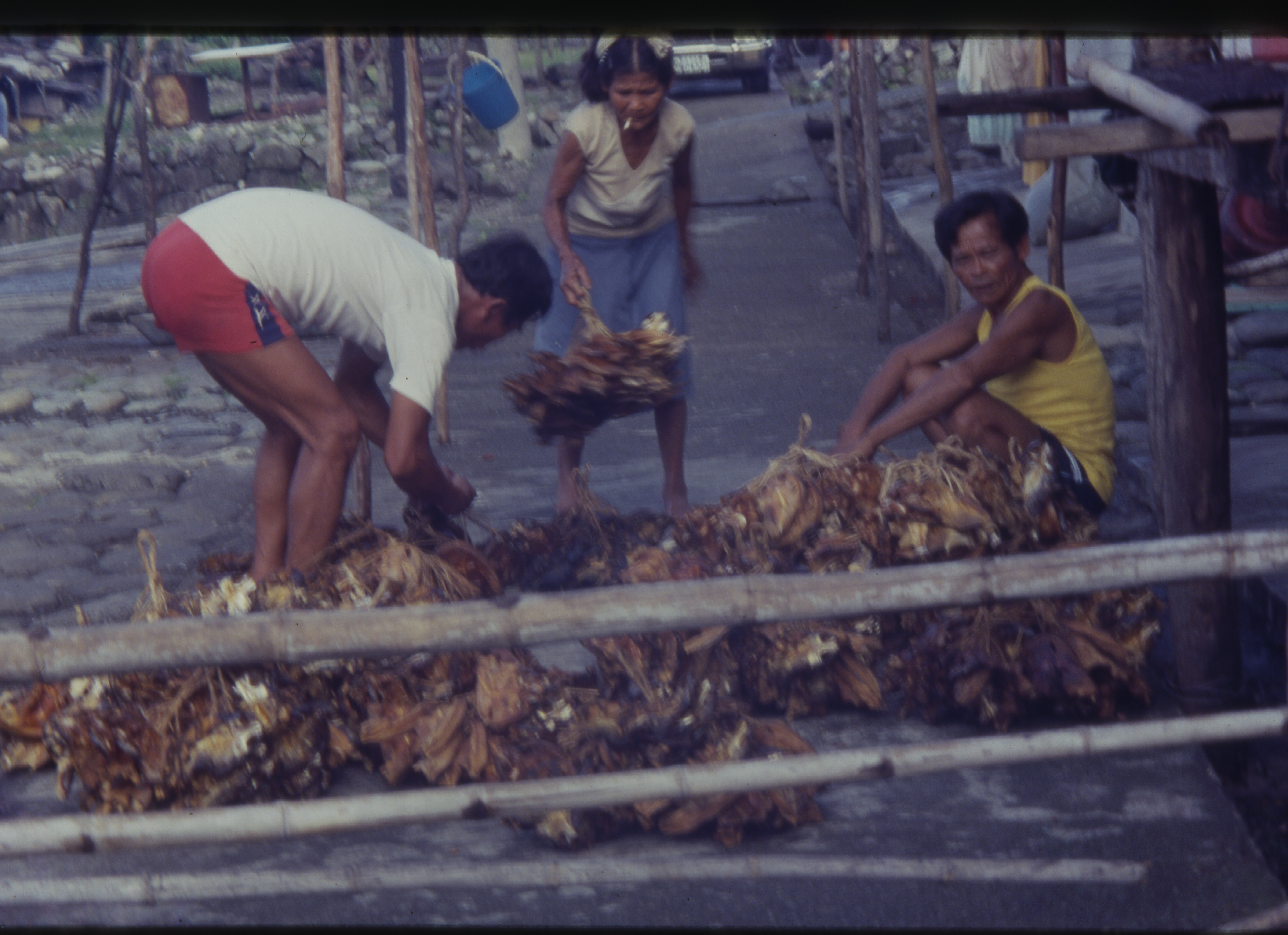 mipiapiavehan — Celebrate the June apiavehan Festival