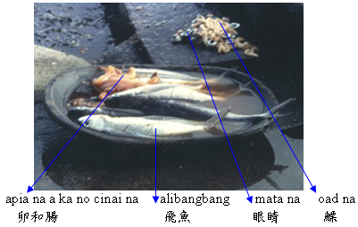 製作飛魚乾、煮飛魚卵